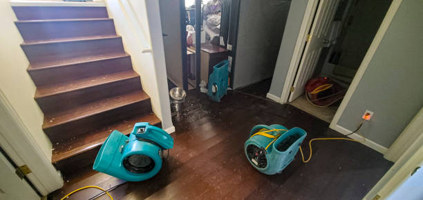 Reliable Flint Hill, MO Water damage restoration Solutions