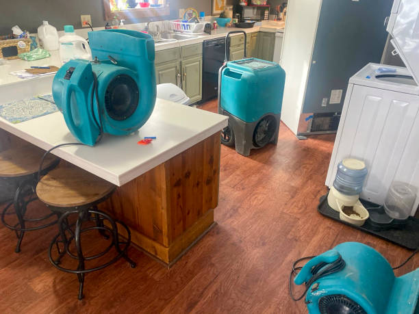 Best Professional water damage repair  in Flint Hill, MO