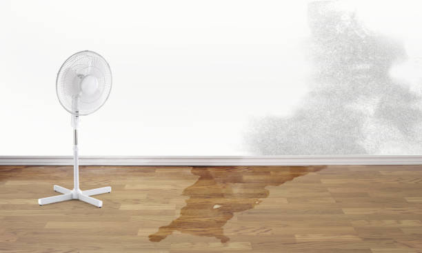 Best Water damage restoration near me  in Flint Hill, MO