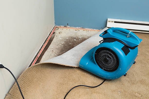 Best Sewage cleanup and water damage restoration  in Flint Hill, MO